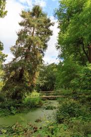 Alter Botanischer Garten Kiel Wikipedia Innereoberschenkel Dekohauseingang Innererfrieden Innerelbowtattoo Hausideen Gart Outdoor Country Roads Water