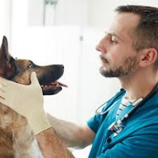 maladies génétiques