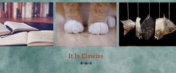 原创 20+无限流书单推荐和心得 It Is Elswise