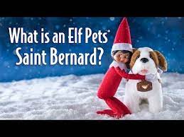 What Is An Elf Pets Saint Bernard Christmas 2018 Elf On The Shelf Ideas Elf Pets Elf On The Shelf Pet Ideas Elf