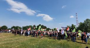 Maybe you would like to learn more about one of these? Demonstration Gegen Zigeunerkriminalitat In Jaszapati