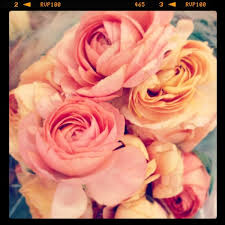 Maybe you would like to learn more about one of these? Kennicott Bros Floral Wholesale Flower Shop In West Town