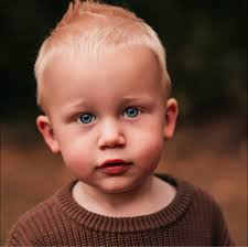 Any dog-friendly lake, beach around GP? Max 1h 30 drive?