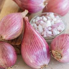 Eschalot in british english (ˈɛʃəˌlɒt, ˌɛʃəˈlɒt) How To Plant And Grow Shallots Gardener S Path