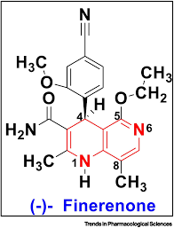 Image result for Finerenone