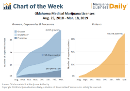 chart medical cannabis license growth still sizzling in