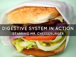 Cheeseburger | hello followers i don't pin a lot but what is their is good so it's better then never. Life Of A Cheeseburger By Mkasicki