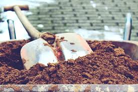 Ground cover in your new dog run is one of the most important investments you can make. 9 Cheap Ways To Cover Dirt In Backyard The Backyard Pros