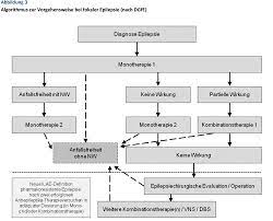 030 041 Erster Epileptischer Anfall Und Epilepsien Im Erwachsenenalter Deutsche Gesellschaft Fur Neurologie E V