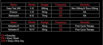 Steroid Cycles Steroids Cycles Anabolic Steroid Cycling