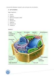 Check spelling or type a new query. Stuktur Dan Fungsi Bagian Sel