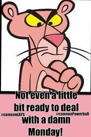 The Pink Panther Cartoon Car Bumper Window Locker Sticker Decal 4 X5 Pink Panther Cartoon Pink Panthers Pink Panter