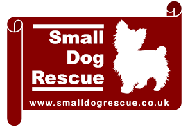 Where do paw pose rescue dogs come from? Small Dog Rescue Cliveglen Ltd Home Facebook