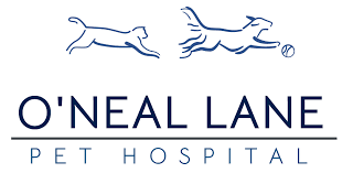 Search reviews of 143 baton rouge businesses by price, type, or location. Best Veterinary Hospital In Baton Rouge La O Neal Lane Pet Hospital