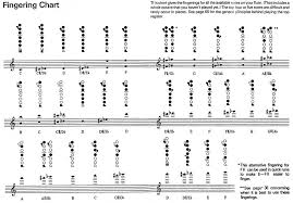 100%(1)100% found this document useful (1 vote). Flute Fingerings Dwarsfluit