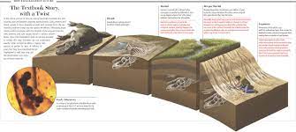 Scientific American Fossil Evidence For Creation