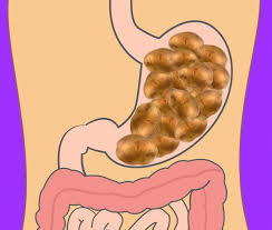 How Long Different Foods Take To Digest And Why Its