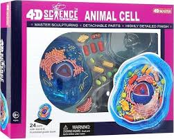 Includes display stand, illustrated assembly guide, description of cell anatomy, detailed description of. 4893409267008 Famemaster 4d Science Animal Cell Anatomy Model