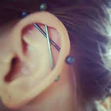 Pin By Lydia Stroe On Piercings Plugs Cute Ear Piercings Piercing Earings Piercings