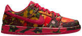NIKE SB DUNK LOW THE WIZARD OF OZ POPPY FIELD