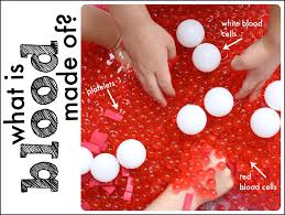 Pin On School Human Body