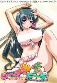 Bi-chiku Beach: Nangoku Nyuujoku Satsueikai - MyAnimeList.net