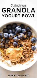 Blueberry Granola Yogurt Bowl Recipe Yogurt And Granola Dairy Free Snacks Yogurt Bowl