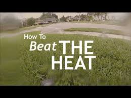 The best period to water the grass in is during spring, when the temperature of the soil. Tips For Keeping Your Lawn From Turning Brown During This Heat Wave Youtube