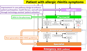 It is particularly recommended for patients who have moderate or. Allergic Rhinitis And Its Impact On Asthma Aria Phase 4 2018 Change Management In Allergic Rhinitis And Asthma Multimorbidity Using Mobile Technology Journal Of Allergy And Clinical Immunology