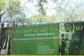 Dopo la vostra visita, fate una passeggiata attraverso il vecchio. Santuario De Los Cactus Photos Facebook