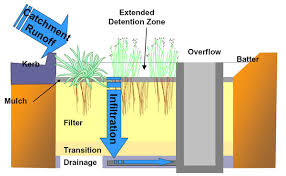 Hgtv.com shares rain garden designs, including a rain garden for a chicken coop, front yard rain gardens and a container garden rain garden. Rain Gardens Abc None Australian Broadcasting Corporation