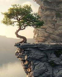 Se un albero riesce a radicarsi nella roccia e fiorire, allora nessuno di  noi dovrebbe dubitare della propria forza. La natura ci parla ogni giorno  di resistenza, di pazienza, di rinascita anche