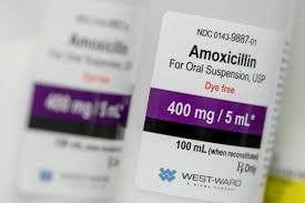 Image result for Amoxicillin