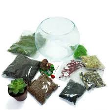 Terrario Starter Base Kit Kit Fai Da Te Terrario Terrario Etsy Diy Kits Diy Terrarium Kit Terrariums Kits