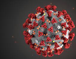 2019 novel coronavirus, wuhan seafood market pneumonia virus) — оболочечный одноцепочный. What We Know Today About Coronavirus Sars Cov 2 And Where Do We Go From Here
