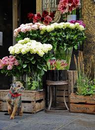 Pin By Andrea Peterson On Wildflower Estes Park Florist Flower Market Flower Shop Floral Shop