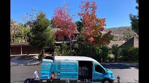 Maybe you would like to learn more about one of these? Pacific Ocean Carpet Care Home Facebook