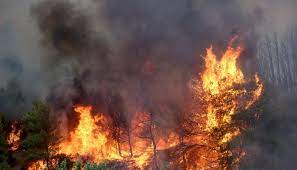 Σε εξέλιξη βρίσκεται φωτιά που ξέσπασε σε δασική έκταση του φελλίου γρεβενών το μεσημέρι της τρίτης 3 αυγούστου 2021. X2xfe4w62b9pwm