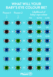Eye color develops from iris pigmentation and the scattering of light. Eye Colour Predictor What Colour Eyes Will Your Baby Have Channel Mum