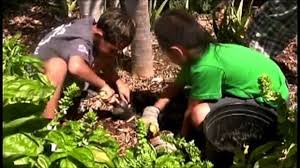 Gardening on this old house. Garden Safety Video Youtube