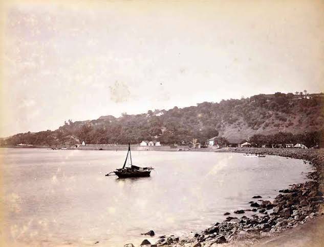 Back Bay & Wooded Malabar Hill Bombay, 1890 Photo - Past-India