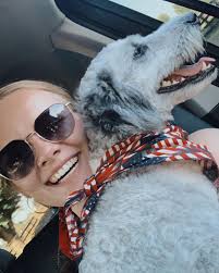 The Grey Goose Adventures