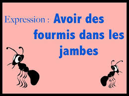 Expression Avoir Des Fourmis Dans Les Jambes French Expressions Idioms Expressions
