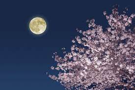 (xiamen hokkien) first three days of the first month of the chinese lunar calendar. Vylmj Hbwkixm