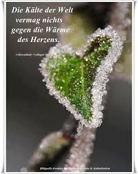 Die Kalte Der Welt Vermag Nichts Gegen Die Warme Der Herzen Auszurichten Verfasser Unbekannt Quelle Gedankengut Ht Naturbilder Foto Natur Schone Herzen