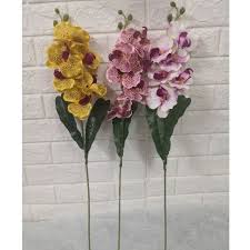 We did not find results for: Buy Bunga Orkid With Daun Orkid Harga Murah Seetracker Malaysia