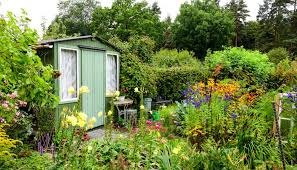 Wildgarten Idee Mit Grunen Gartenhaus Aus Holz Sitzbereich Beispiel Mit Vielen Stauden Blumen In 2020 Schrebergarten Gartenhaus Holz Gartenhaus