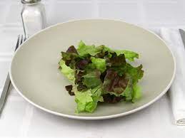 Oct 25, 2013 · calories in mixed lettuce, tom, pepper, cuke, rad, and sprouts salad calories: Calories In 1 Cup S Of Red Leaf Lettuce