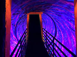 Check spelling or type a new query. Ripley S Believe It Or Not Orlando Fl David S Coin Travels