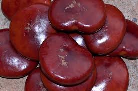 Image result for Entada gigas